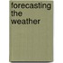 Forecasting The Weather
