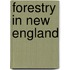 Forestry In New England