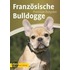 Französische Bulldogge