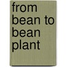 From Bean To Bean Plant door Anita Ganeri