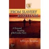 From Slavery to Freedom door Jeffrey Krogstad
