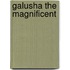 Galusha the Magnificent