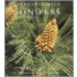 Gardening With Conifers