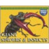 Giant Spiders & Insects
