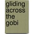 Gliding Across The Gobi
