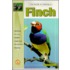 Guide To Owning A Finch