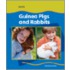 Guinea Pigs and Rabbits