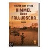 Himmel über Falludscha door Walter Dean Myers