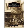 Historic Pulaski County door Paulette Walker