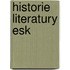 Historie Literatury Esk