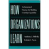 How Organizations Learn by Edwin C. Nevis