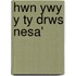 Hwn Ywy Y Ty Drws Nesa'