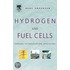 Hydrogen And Fuel Cells