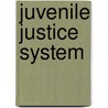 Juvenile Justice System door Dean John Champion