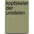 Kopfskelet Der Urodelen