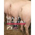 Mastschweine