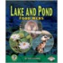 Lake And Pond Food Webs