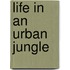 Life In An Urban Jungle
