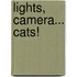 Lights, Camera... Cats!