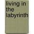 Living In The Labyrinth