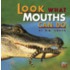 Look What Mouths Can Do