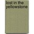 Lost in the Yellowstone