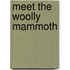Meet the Woolly Mammoth
