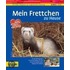 Mein Frettchen zu Hause