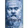 Meisterdenker: Sokrates door C.C.W. Taylor