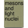 Mesons And Light Nuclei door Onbekend