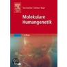 Molekulare Humangenetik door Andrew P. Read
