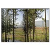 Laag land-hoge heuvels
