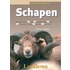 Schapen