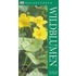 Naturführer Wildblumen