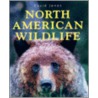 North American Wildlife door David Jones
