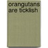 Orangutans Are Ticklish