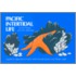 Pacific Intertidal Life