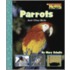 Parrots and Other Birds