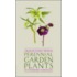 Perennial Garden Plants