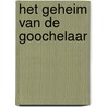 Het geheim van de goochelaar by Anneke Scholtens