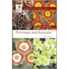 Primroses And Auriculas door Peter Ward