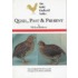 Quail, Past And Present