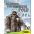 Reaching the North Pole