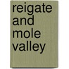 Reigate And Mole Valley door Onbekend