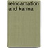 Reincarnation and Karma
