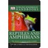 Reptiles And Amphibians