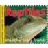 Reptiles and Amphibians