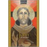 Saint John of the Cross door Mirabai Starr
