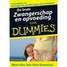 De Grote Zwangerschap en opvoeding voor Dummies door Paul Smits
