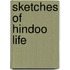 Sketches of Hindoo Life